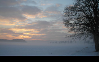 Tapeta radimer_promeny_18