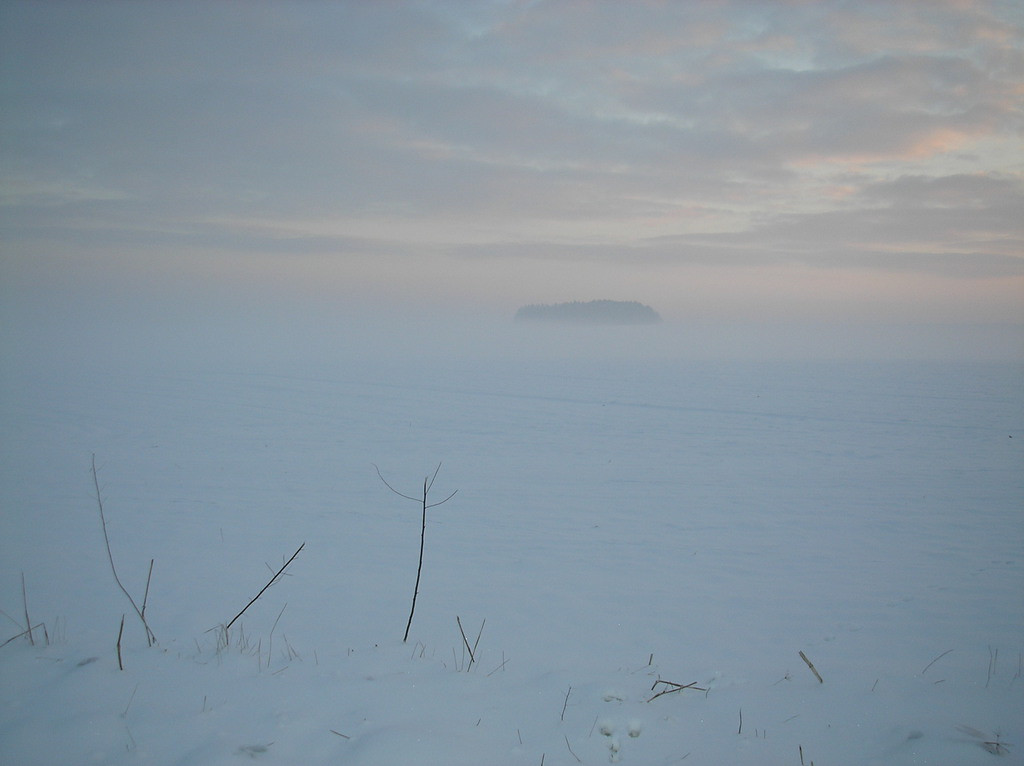 Tapeta radimer_promeny_20