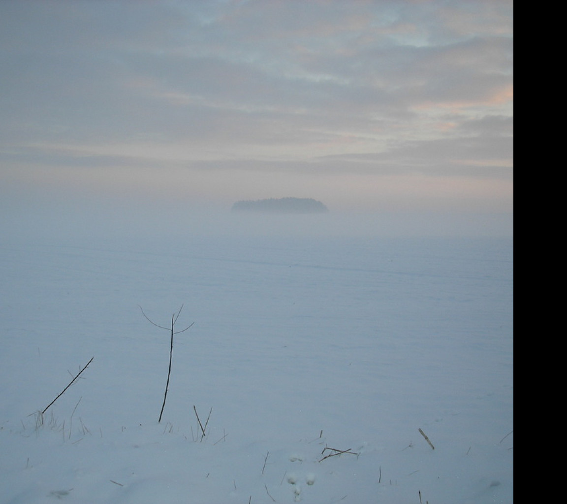 Tapeta radimer_promeny_20