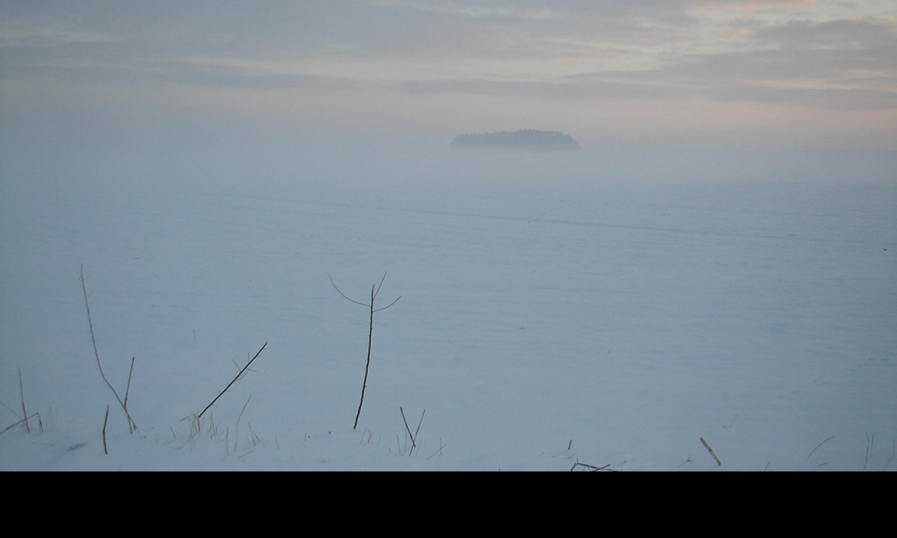 Tapeta radimer_promeny_20