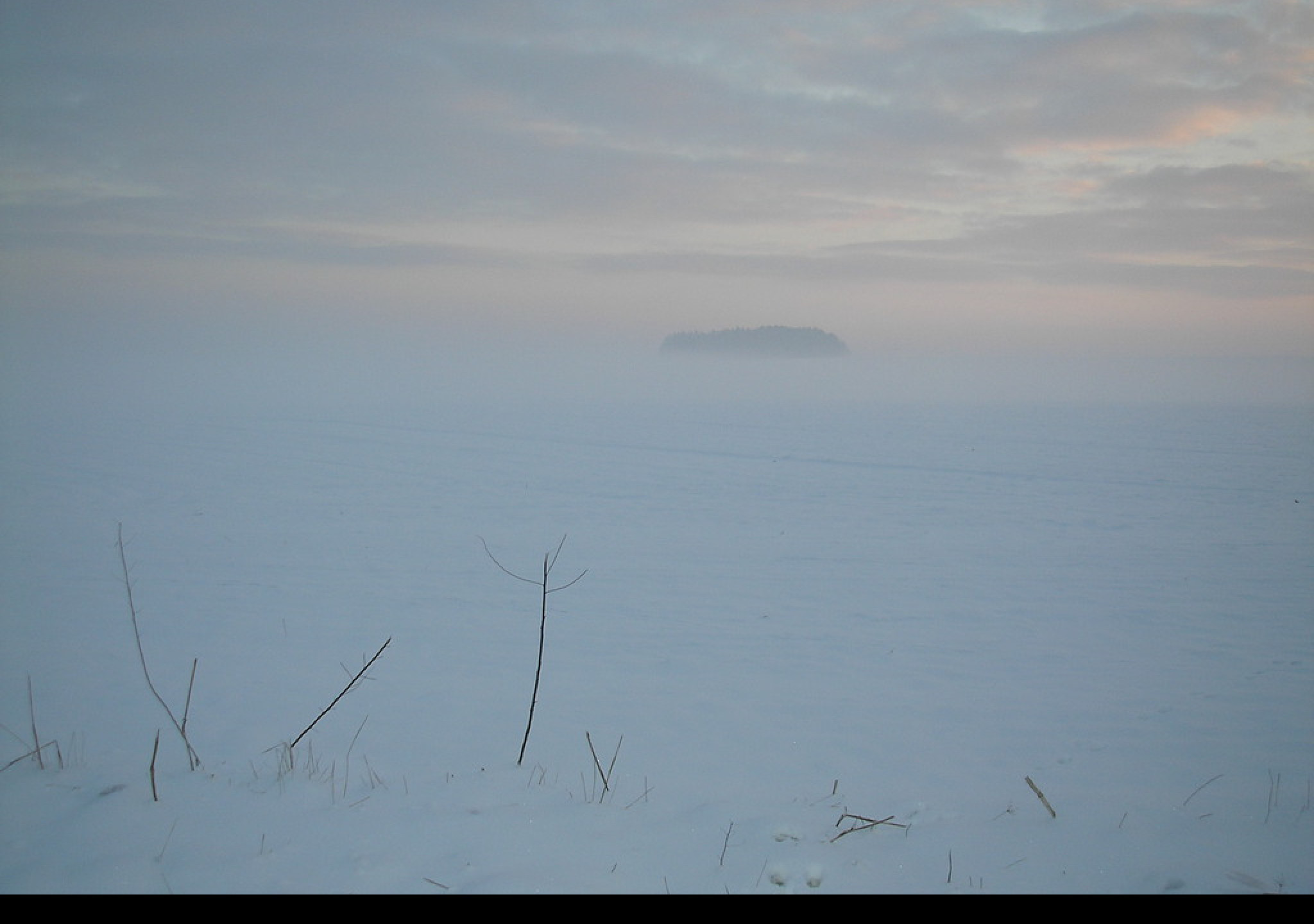 Tapeta radimer_promeny_20