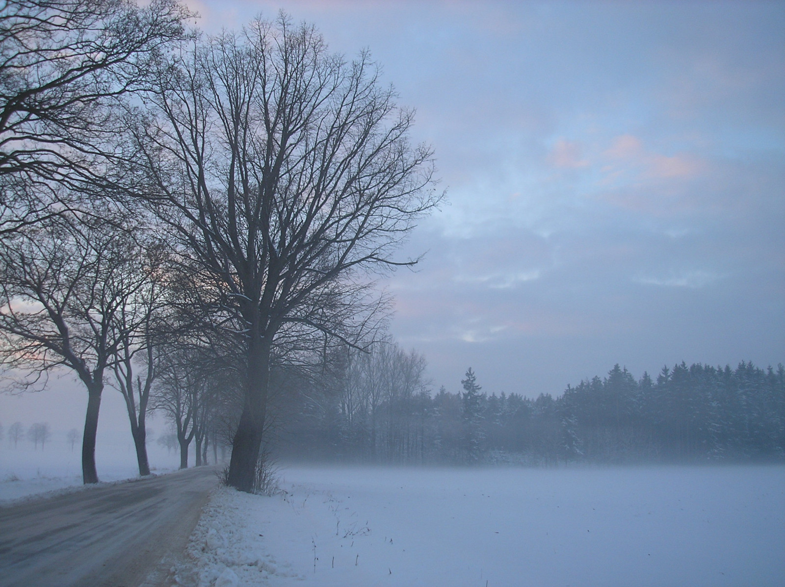 Tapeta radimer_promeny_21