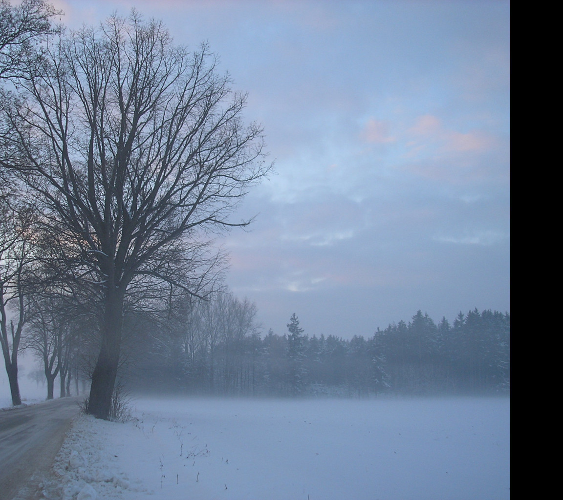 Tapeta radimer_promeny_21