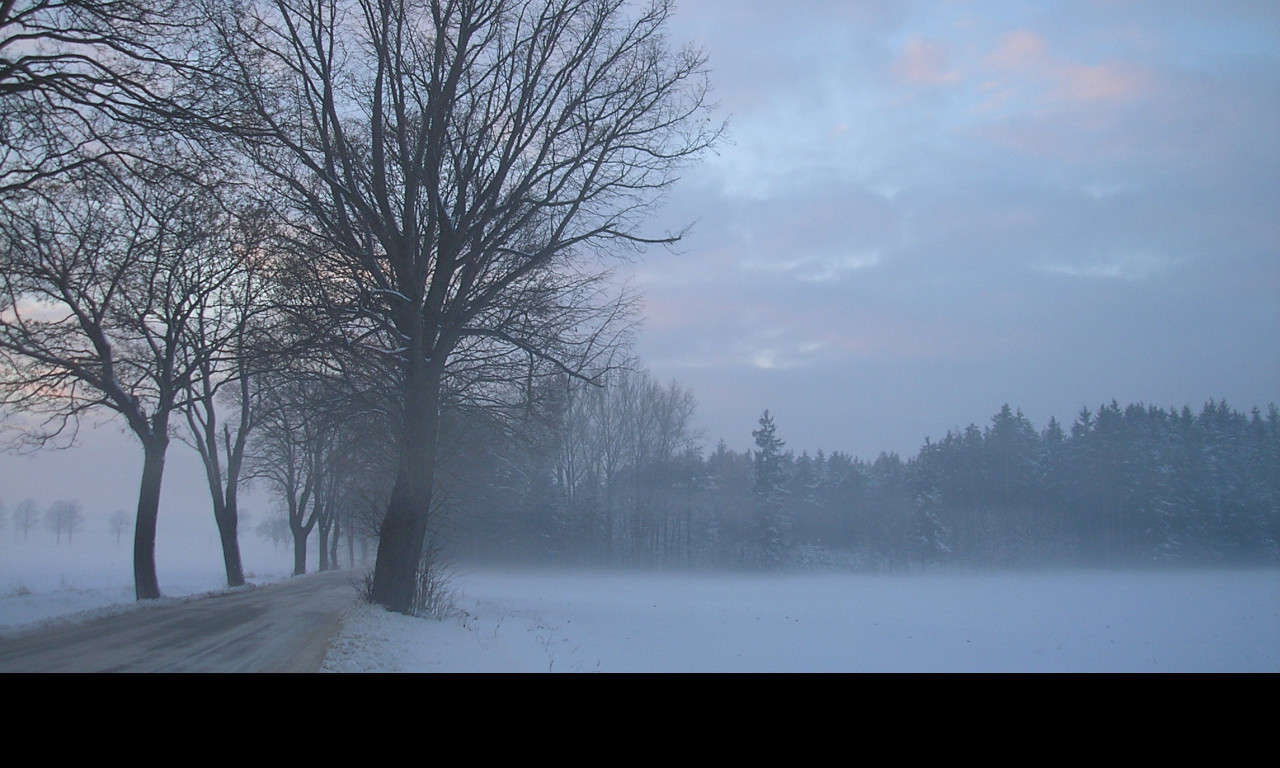 Tapeta radimer_promeny_21