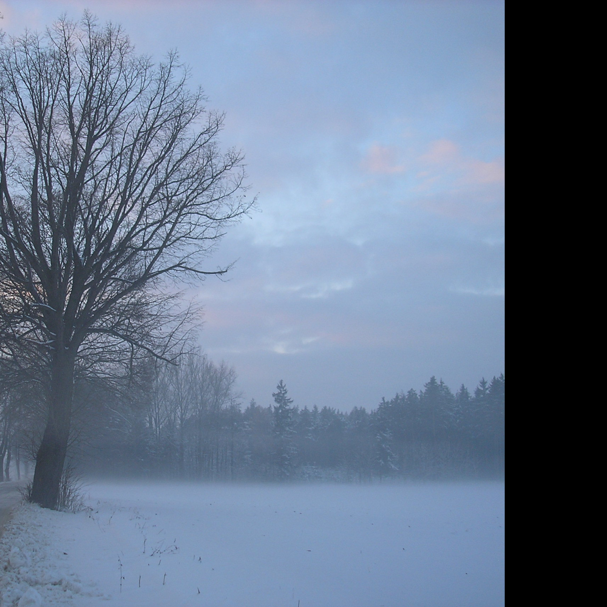 Tapeta radimer_promeny_21