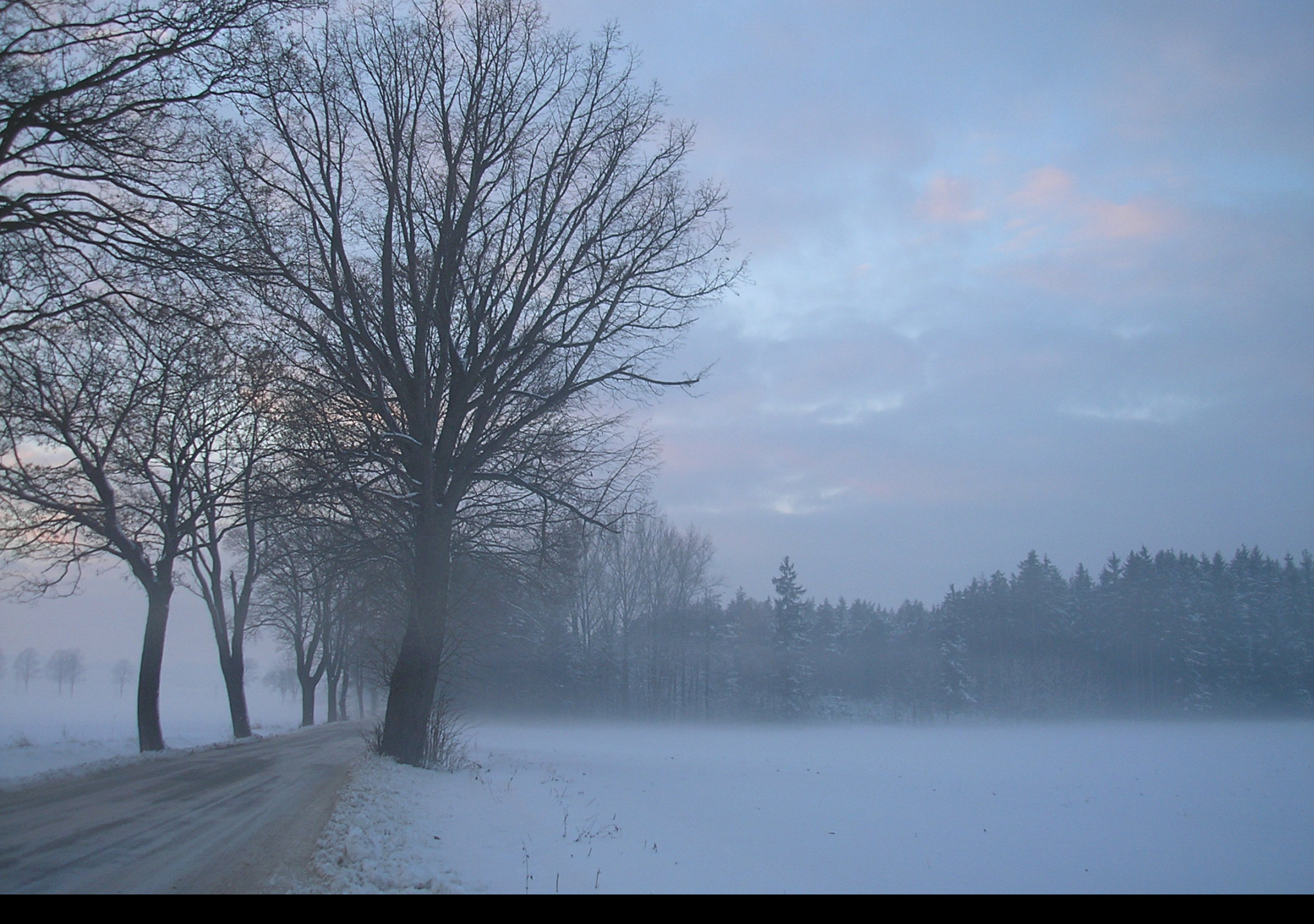 Tapeta radimer_promeny_21