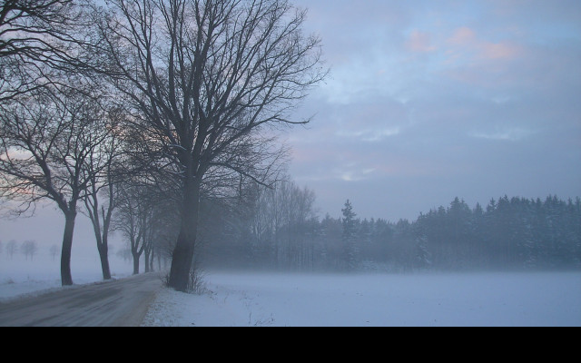 Tapeta radimer_promeny_21