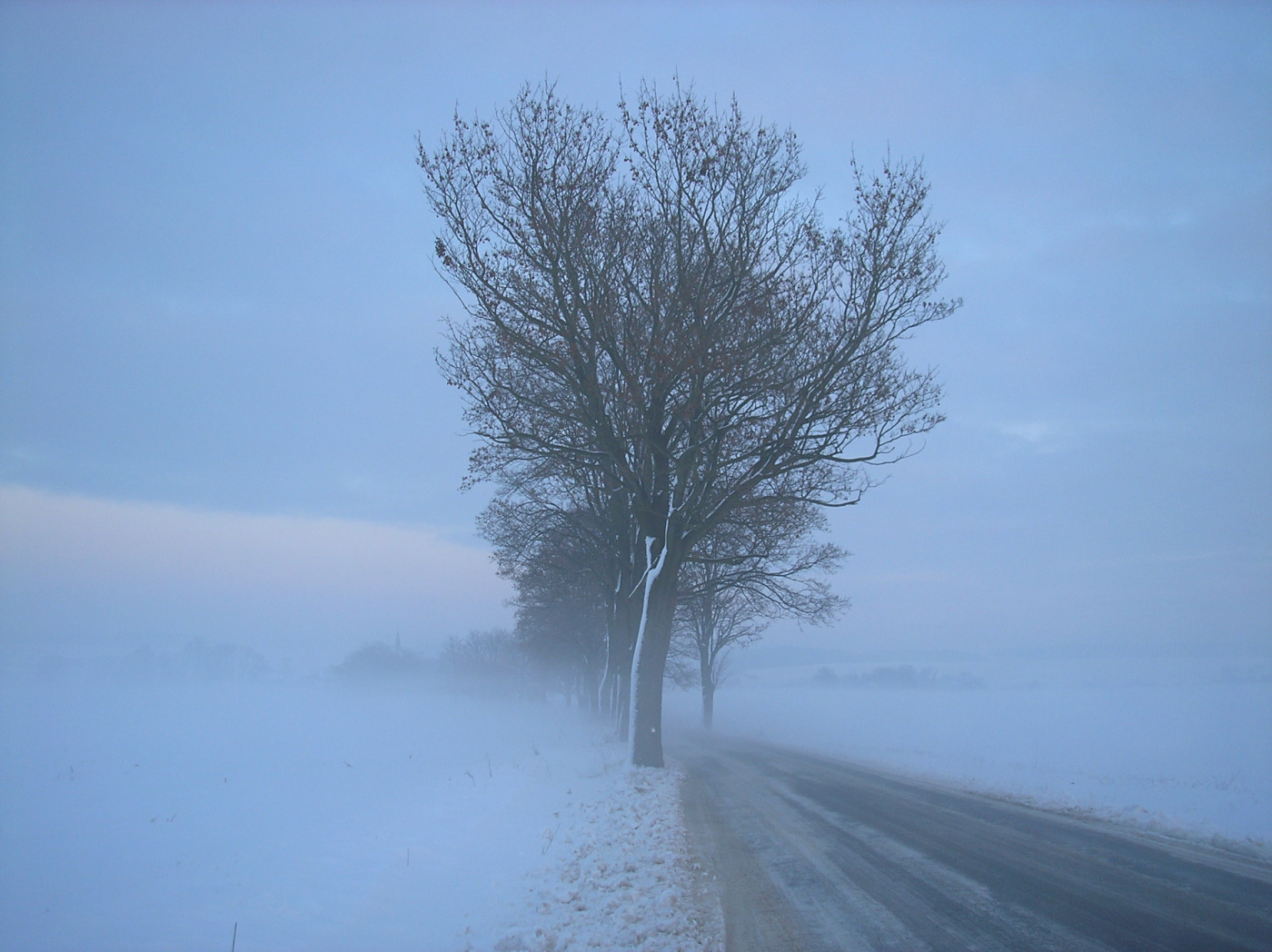 Tapeta radimer_promeny_22