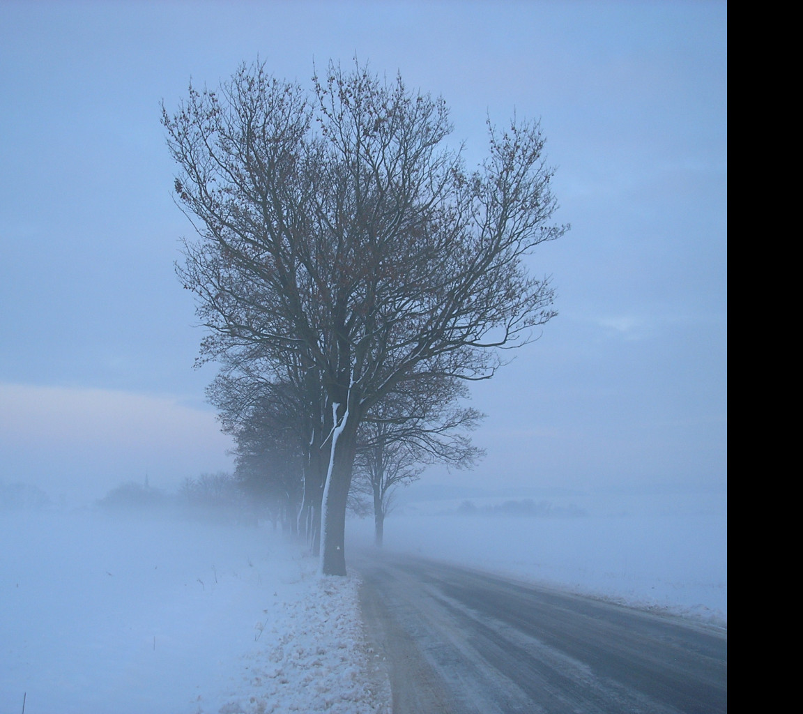 Tapeta radimer_promeny_22