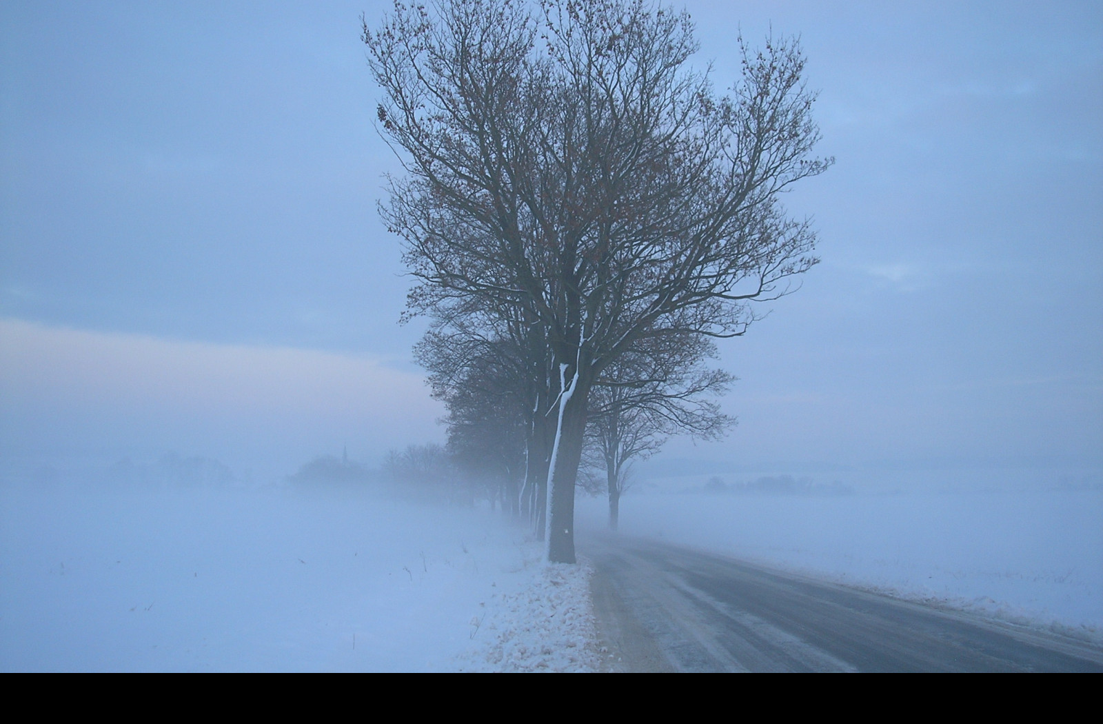 Tapeta radimer_promeny_22