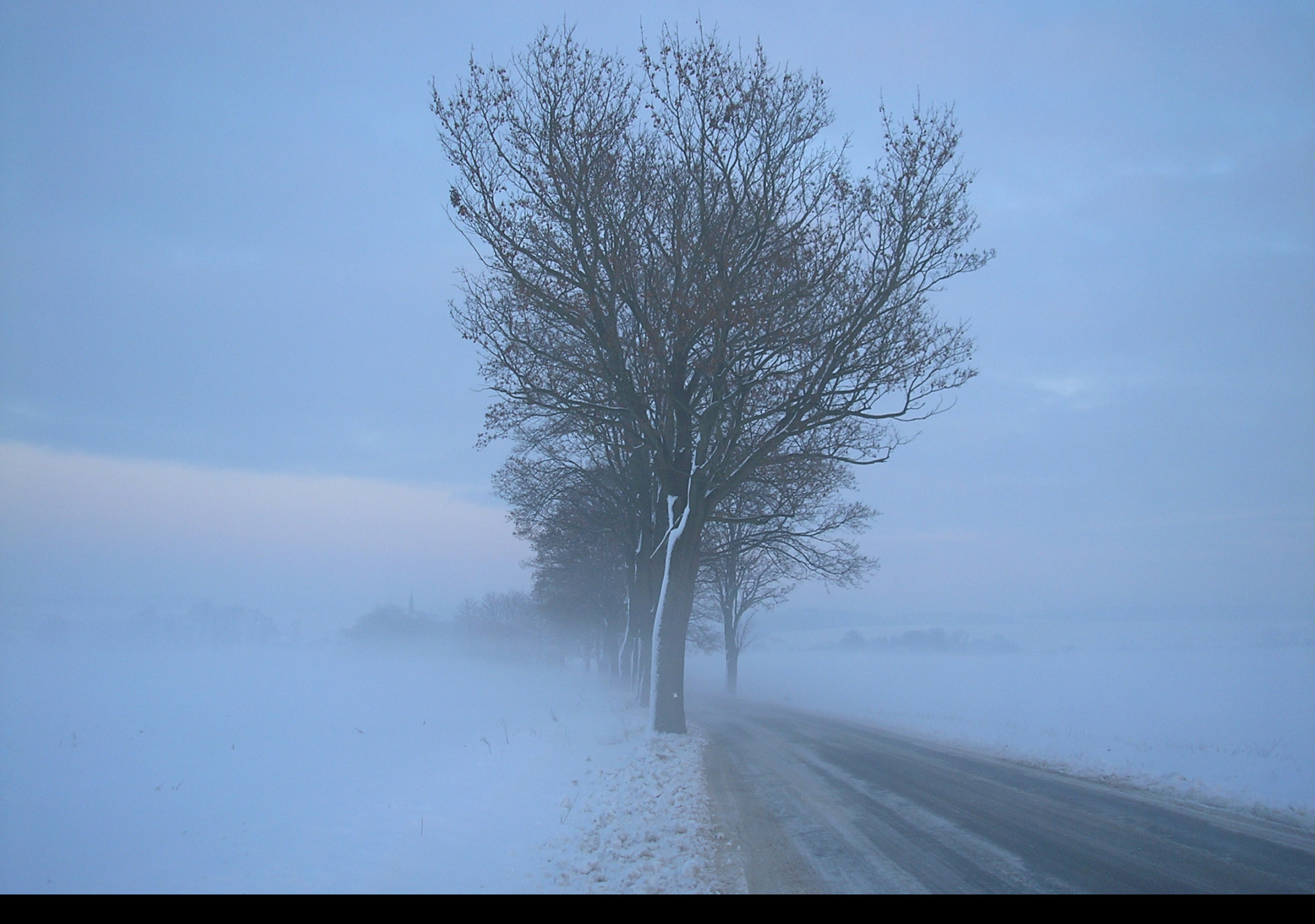 Tapeta radimer_promeny_22