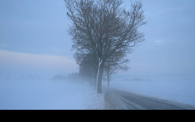 Tapeta radimer_promeny_22