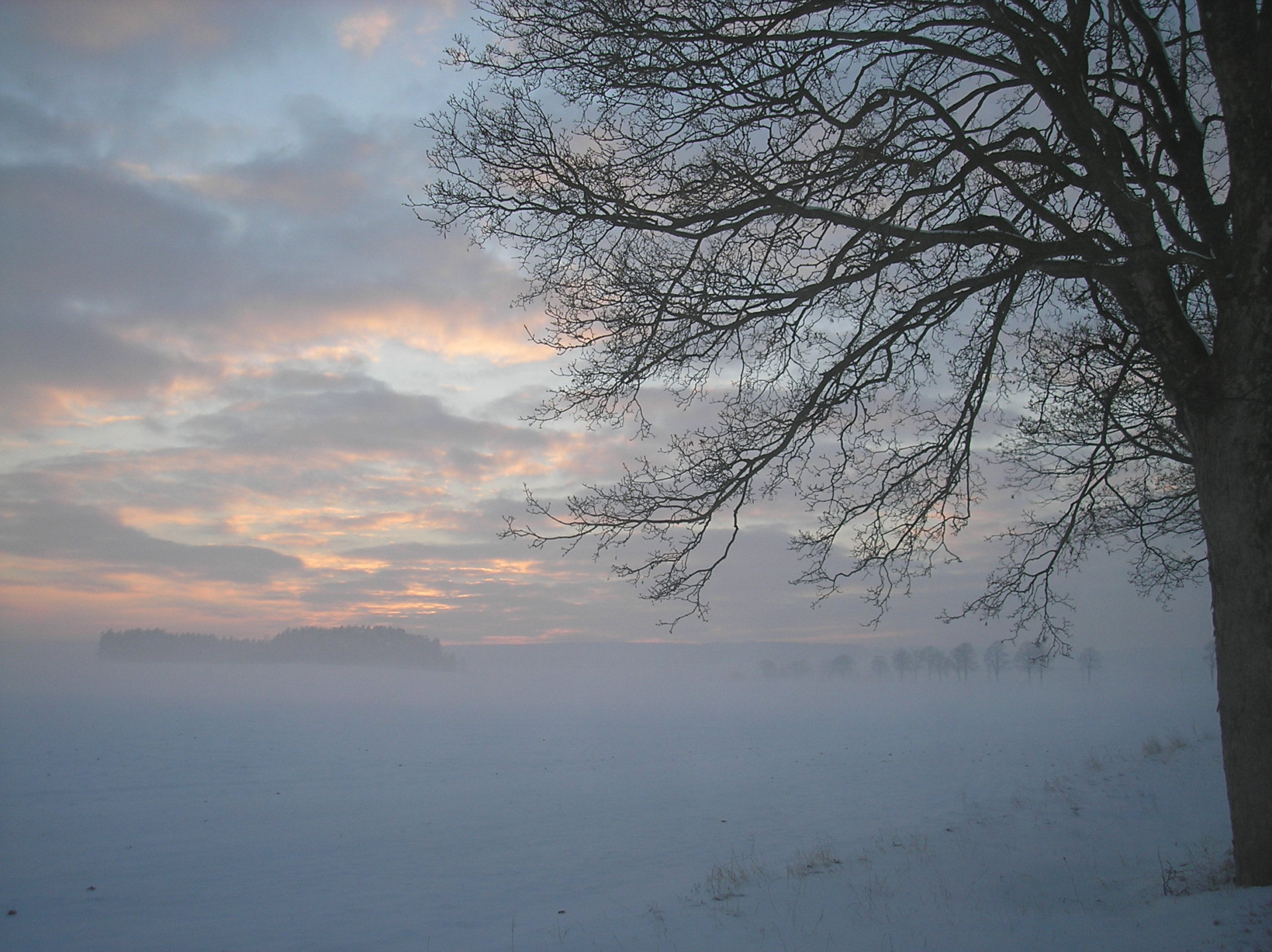 Tapeta radimer_promeny_23