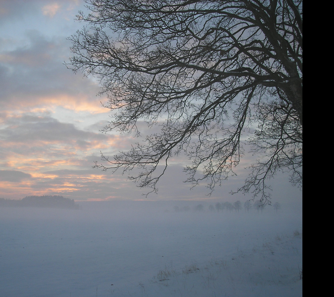 Tapeta radimer_promeny_23