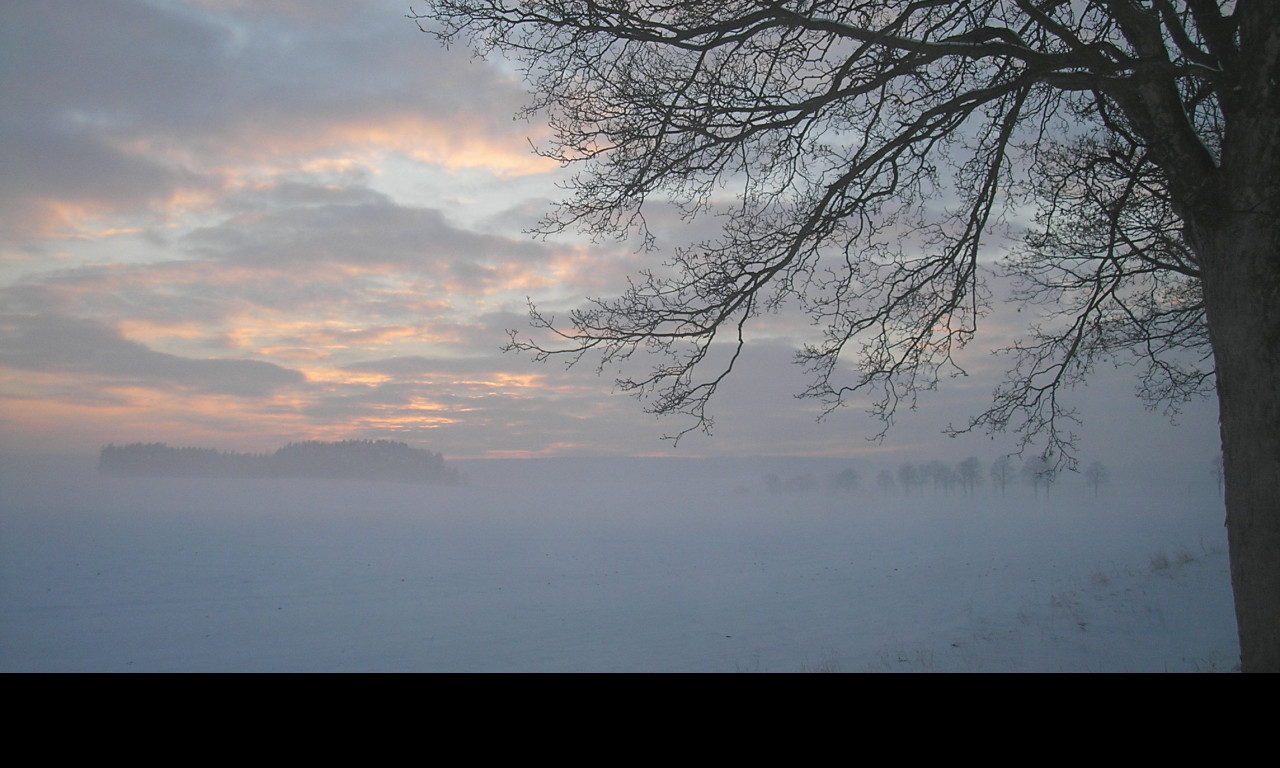 Tapeta radimer_promeny_23