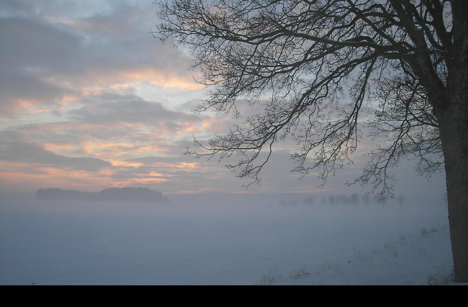 Tapeta radimer_promeny_23