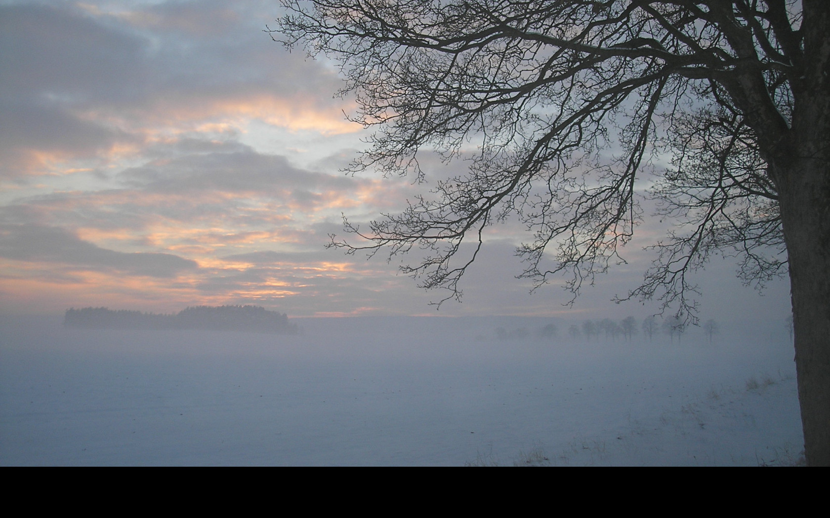 Tapeta radimer_promeny_23