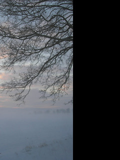 Tapeta radimer_promeny_23
