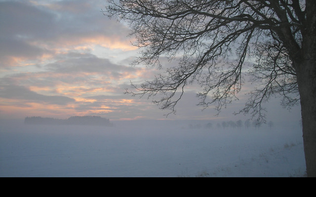 Tapeta radimer_promeny_23