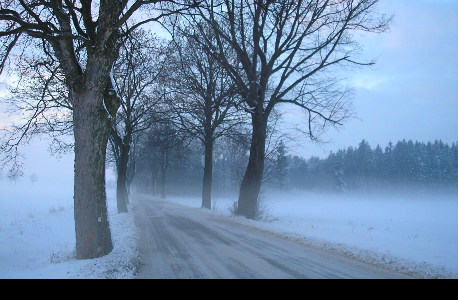 Tapeta radimer_promeny_24