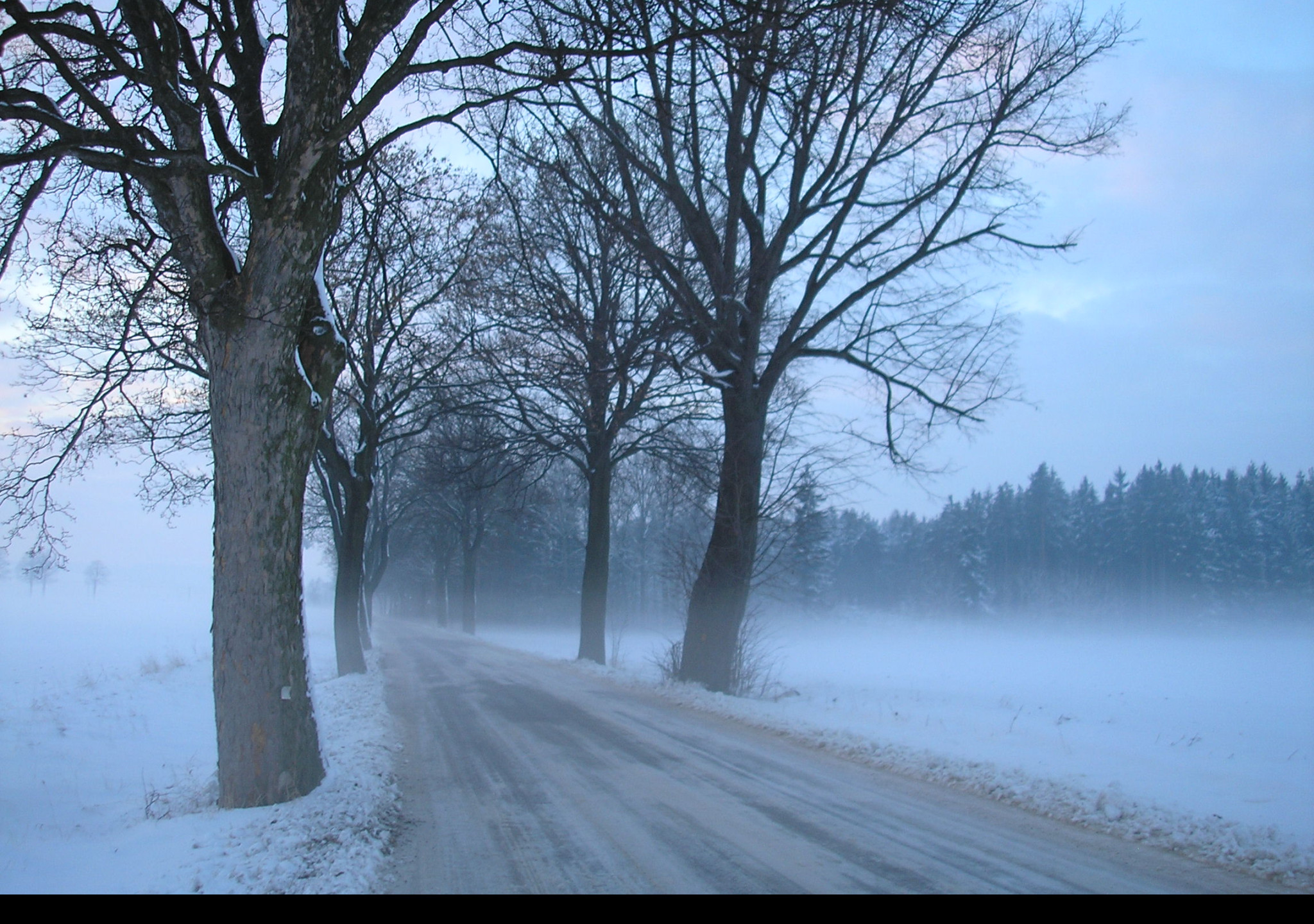 Tapeta radimer_promeny_24