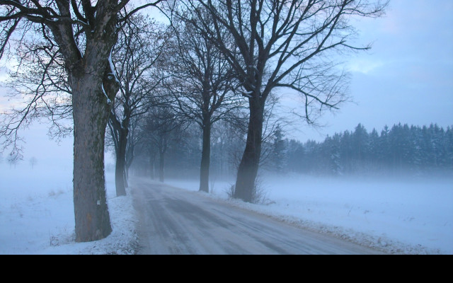 Tapeta radimer_promeny_24