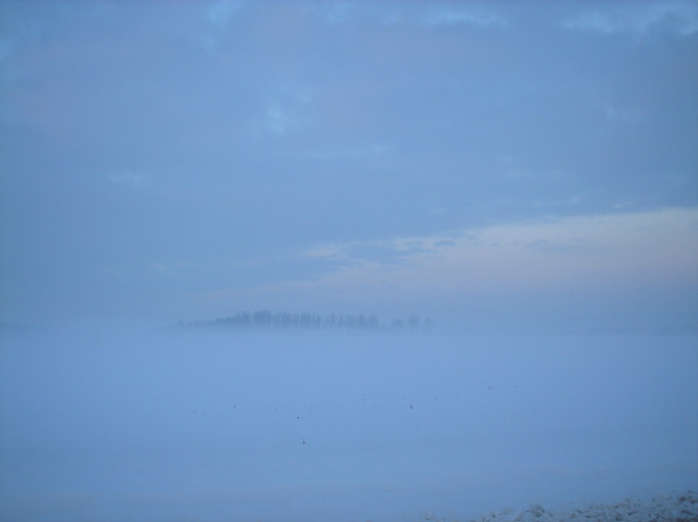 Tapeta radimer_promeny_25
