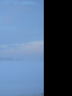 Tapeta radimer_promeny_25