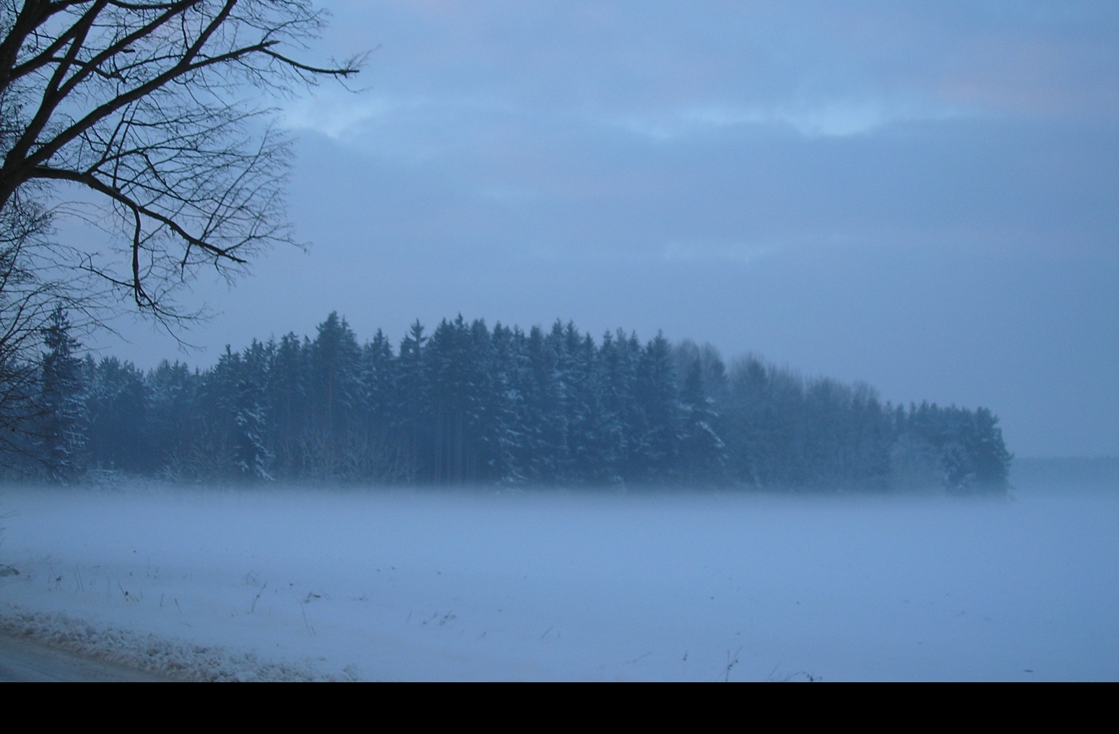 Tapeta radimer_promeny_26