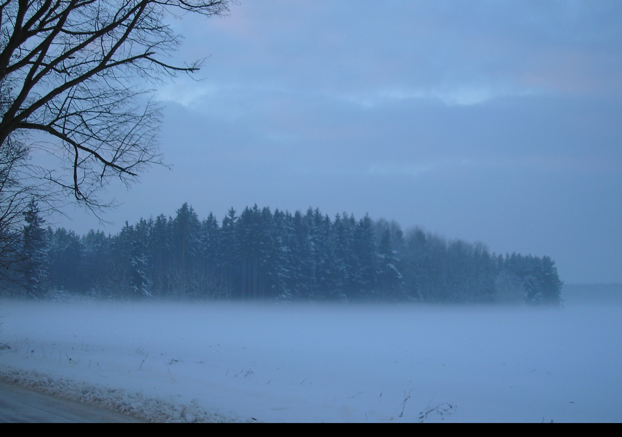 Tapeta radimer_promeny_26