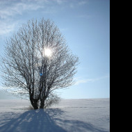 Tapeta radimer_zima_nad_rancem_01