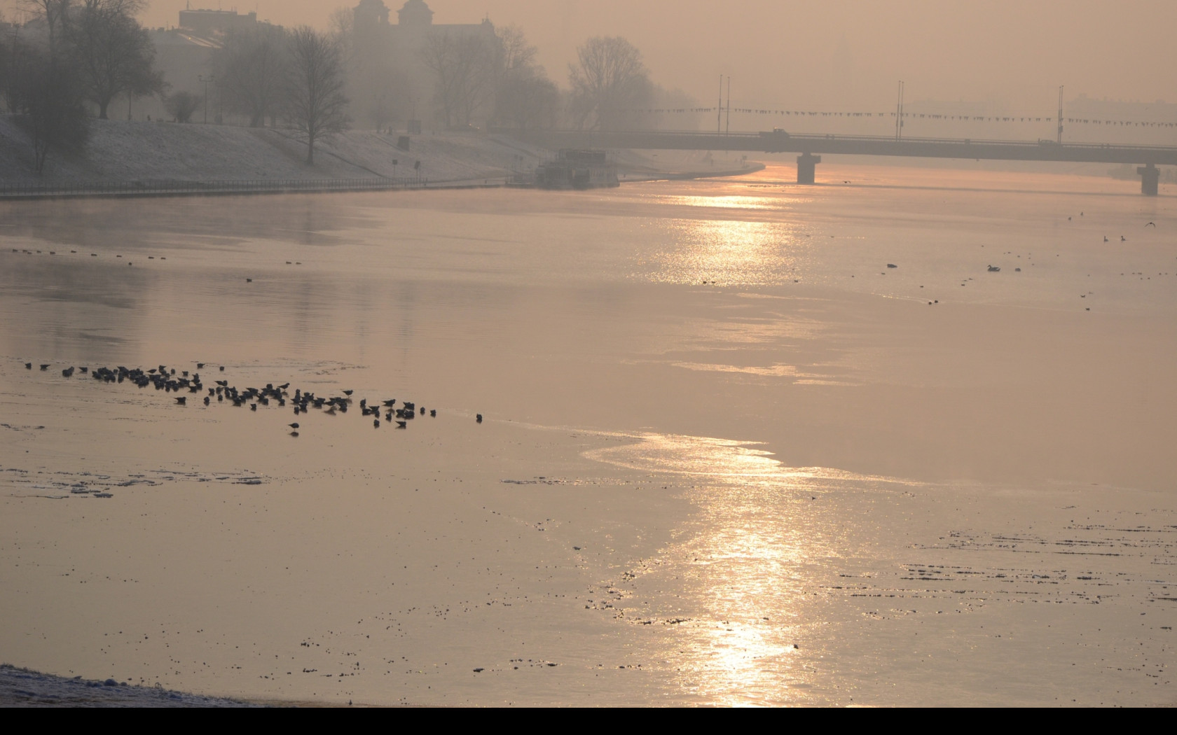 Tapeta ranni_krakow