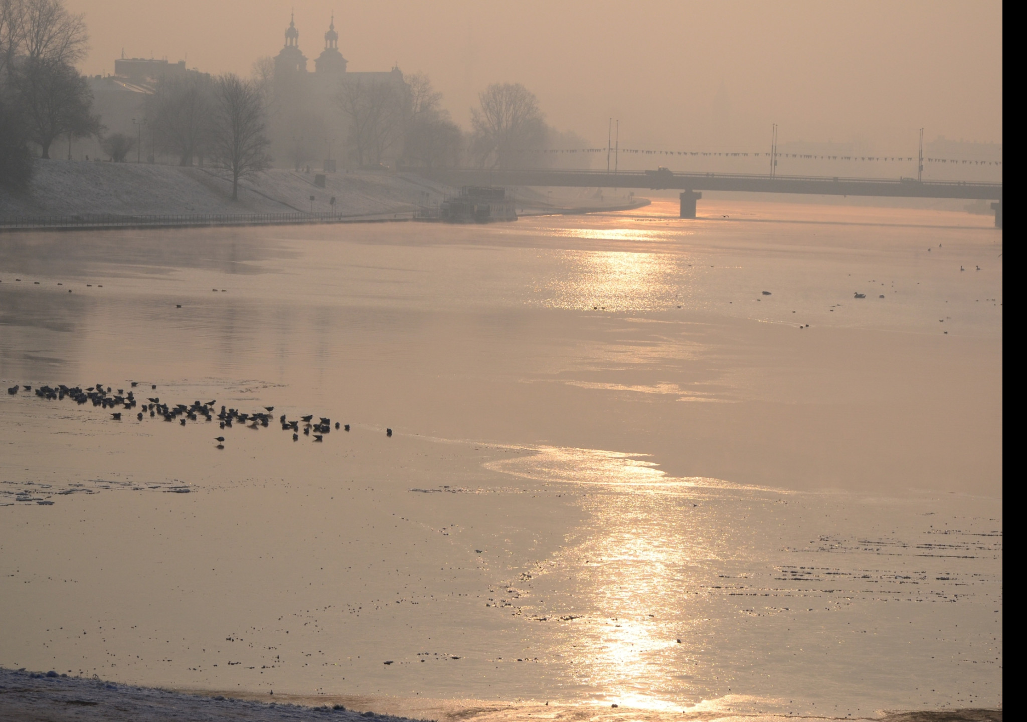 Tapeta ranni_krakow