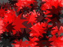 Tapeta Red & Black Abstract