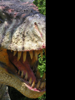 Tapeta rex_2