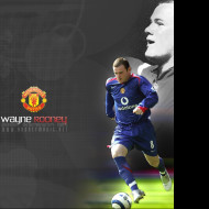 Tapeta rooney8