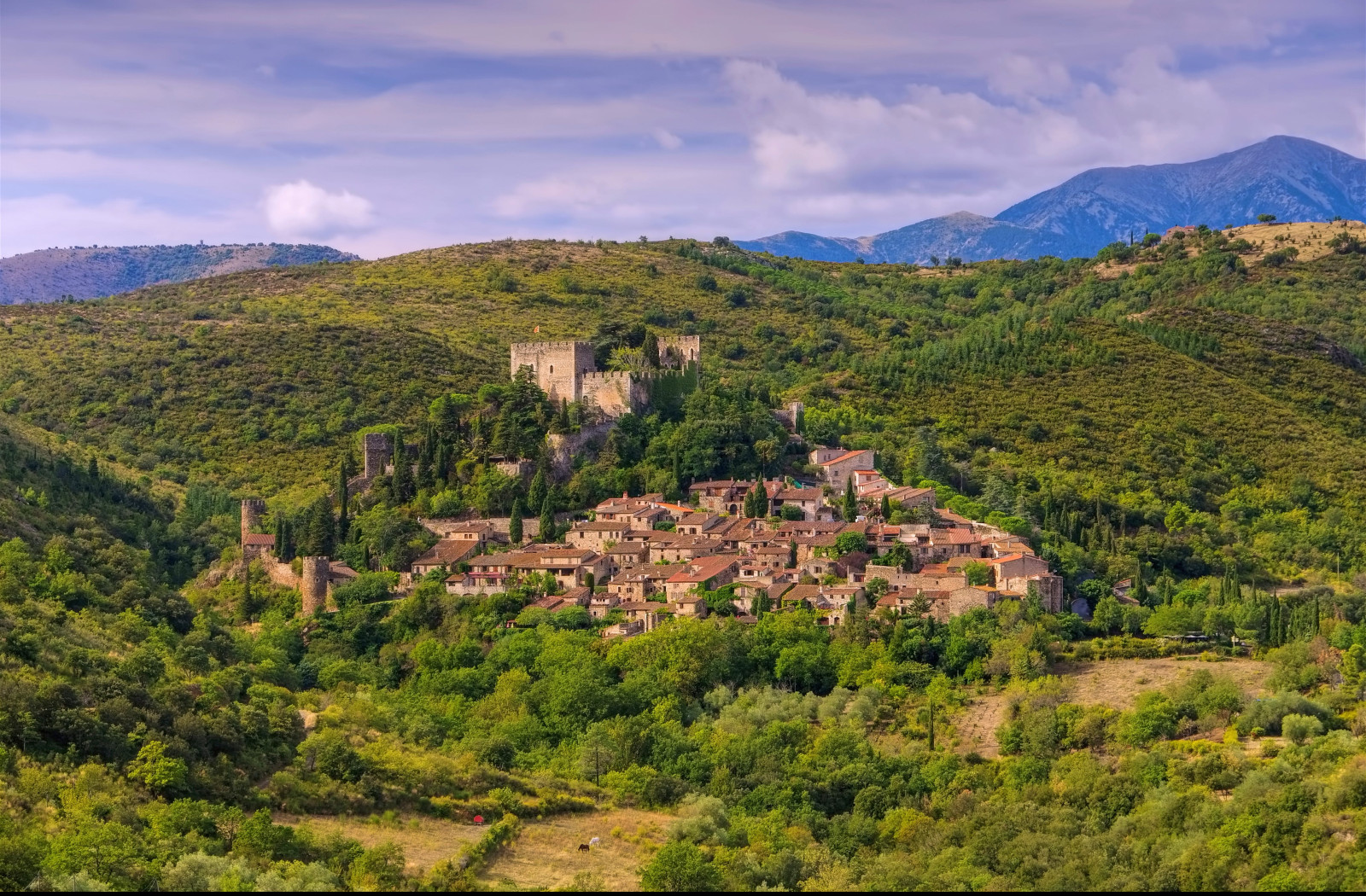 Tapeta roussillon