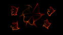 Tapeta rumpled roses