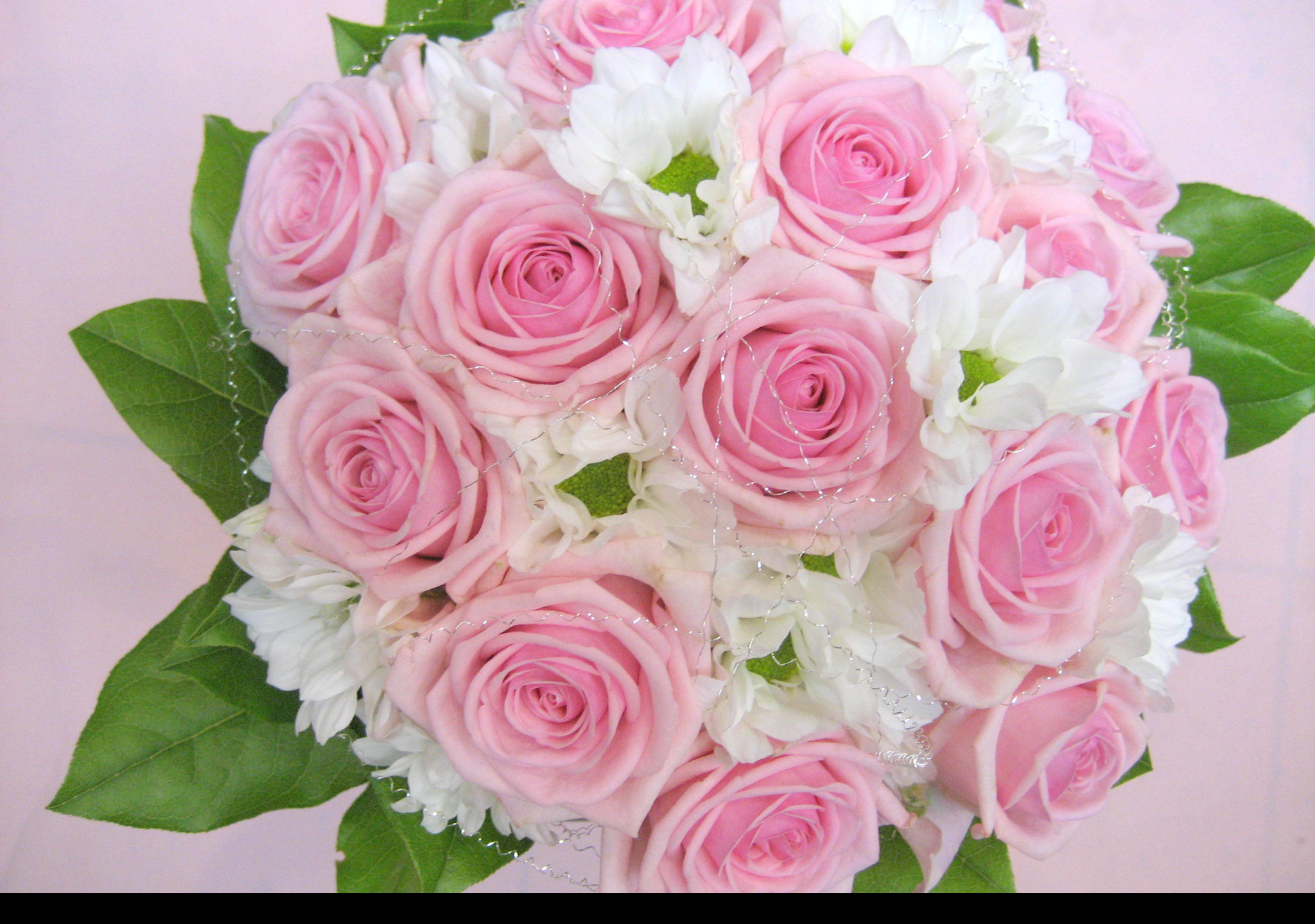 Tapeta ruzova_svatebni