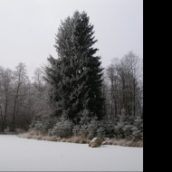 Tapeta rybnik_u_obce_doupe_2