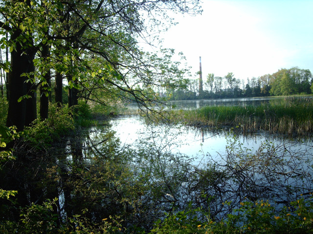 Tapeta rybnik_z_jara