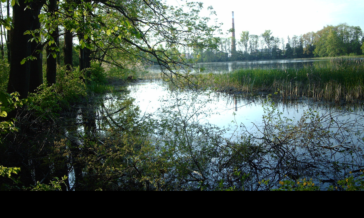 Tapeta rybnik_z_jara