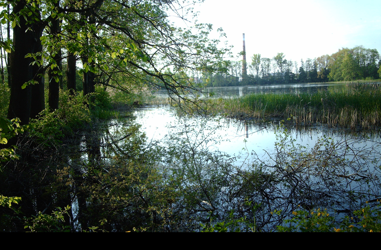 Tapeta rybnik_z_jara