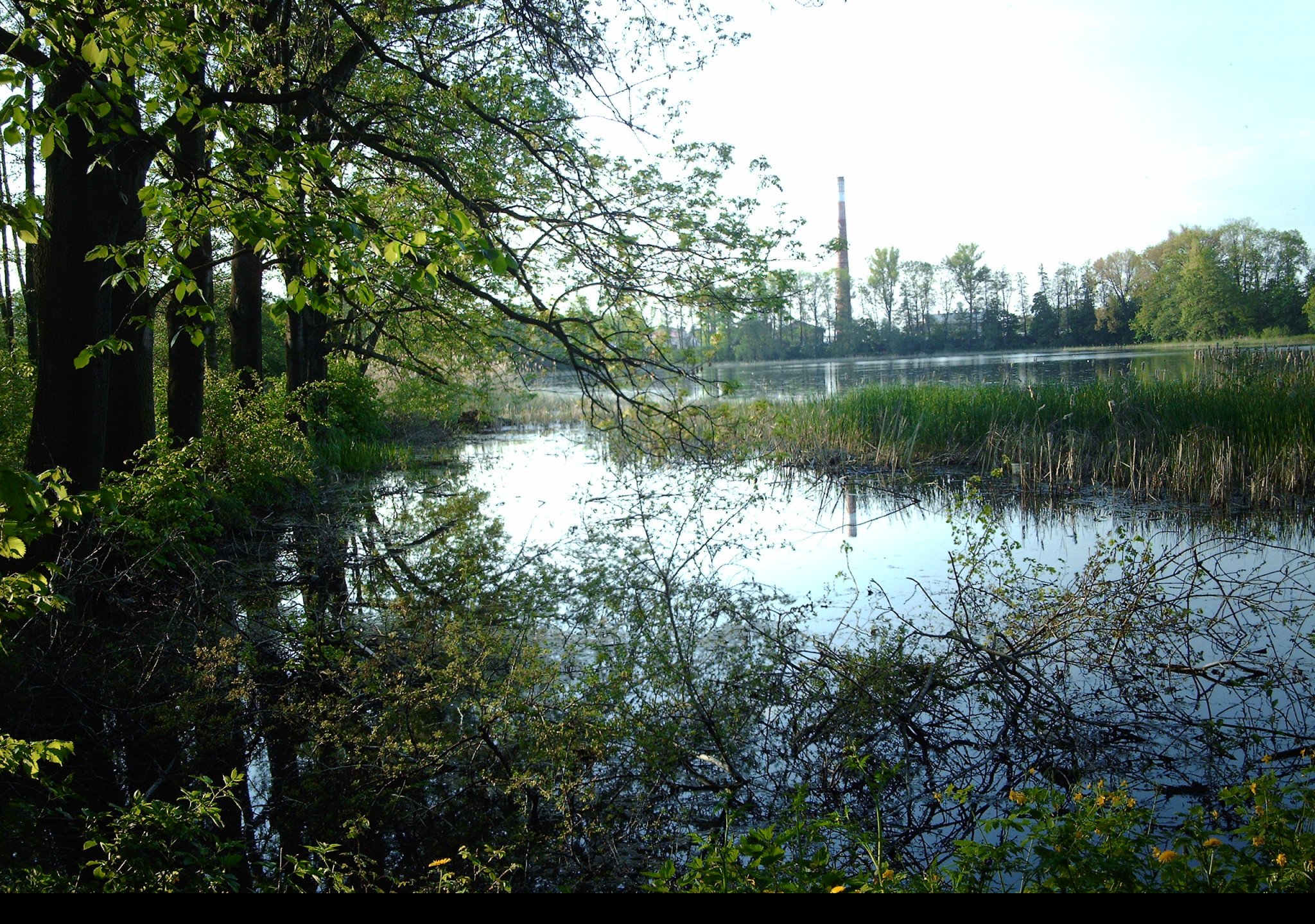 Tapeta rybnik_z_jara