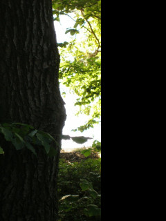 Tapeta sec_ostrov_zakouti_2