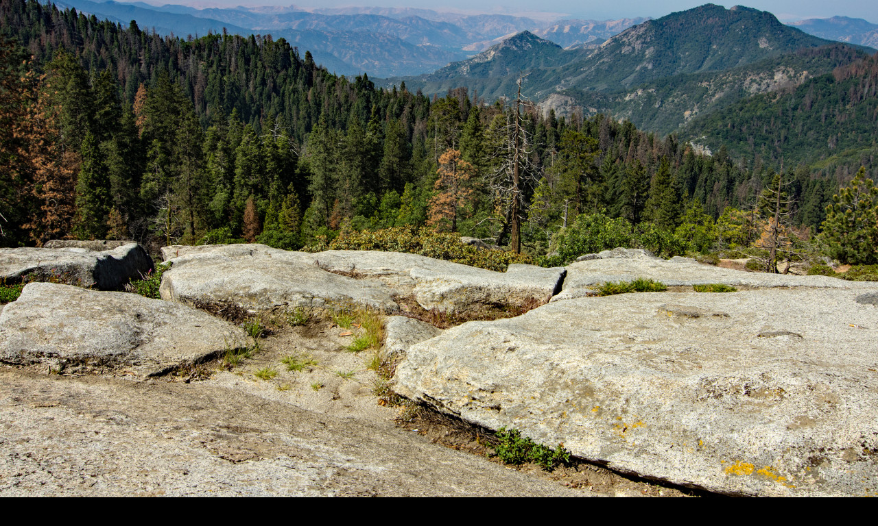 Tapeta sequoia__beetle_rock