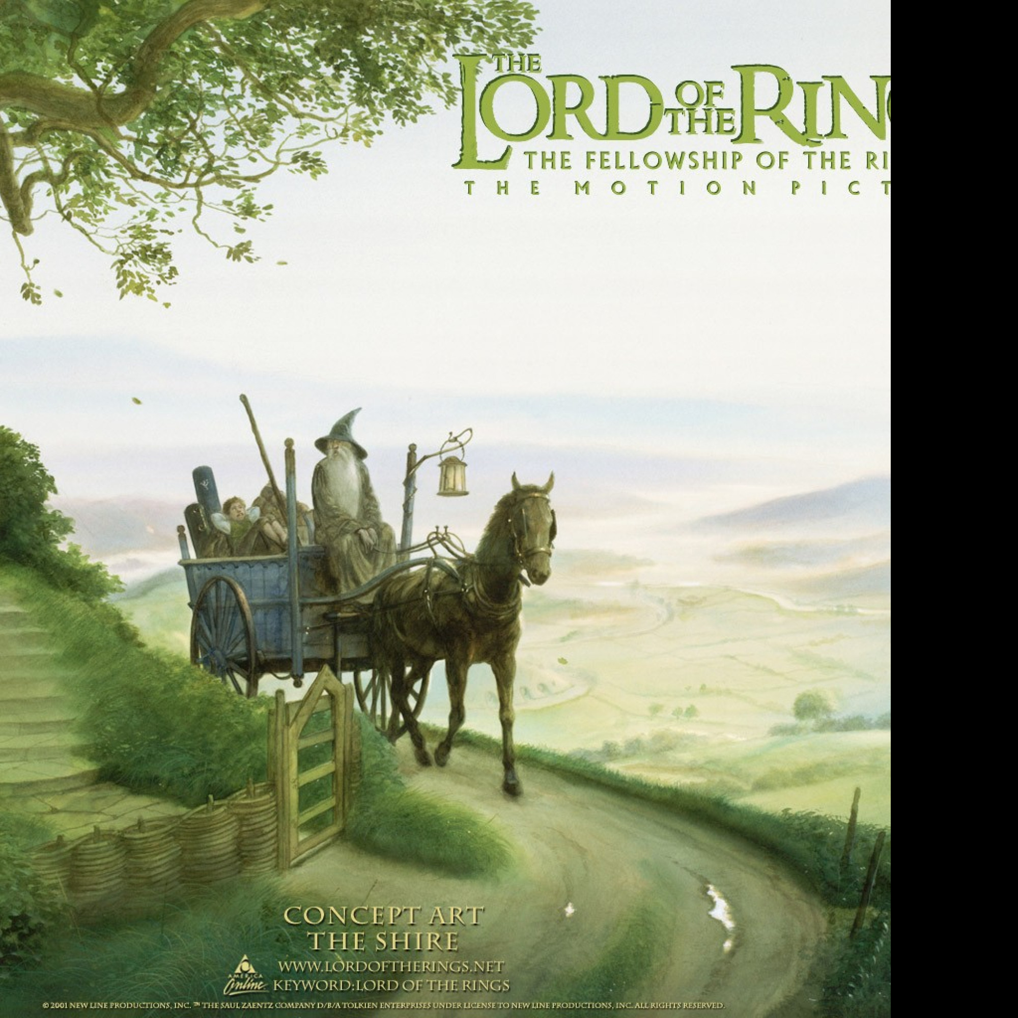 Tapeta shirelotr