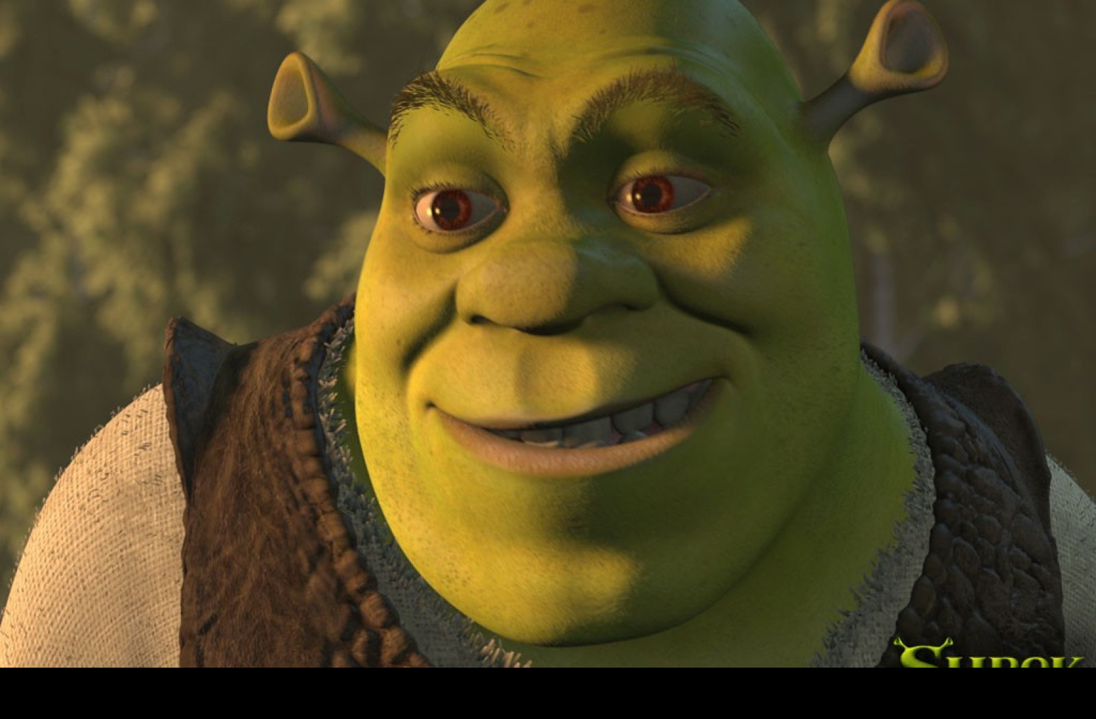 Tapeta shrek