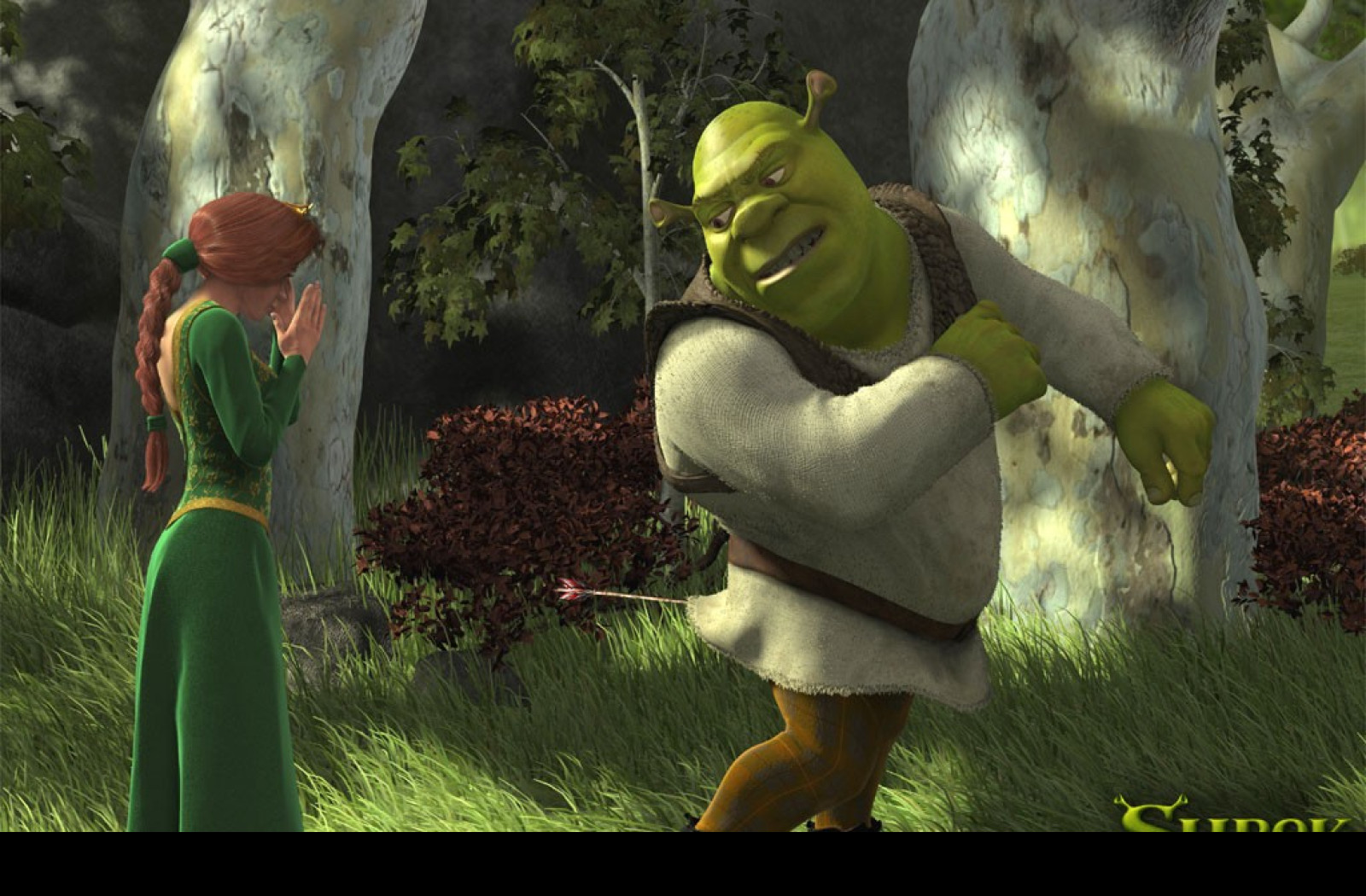 Tapeta shreksip