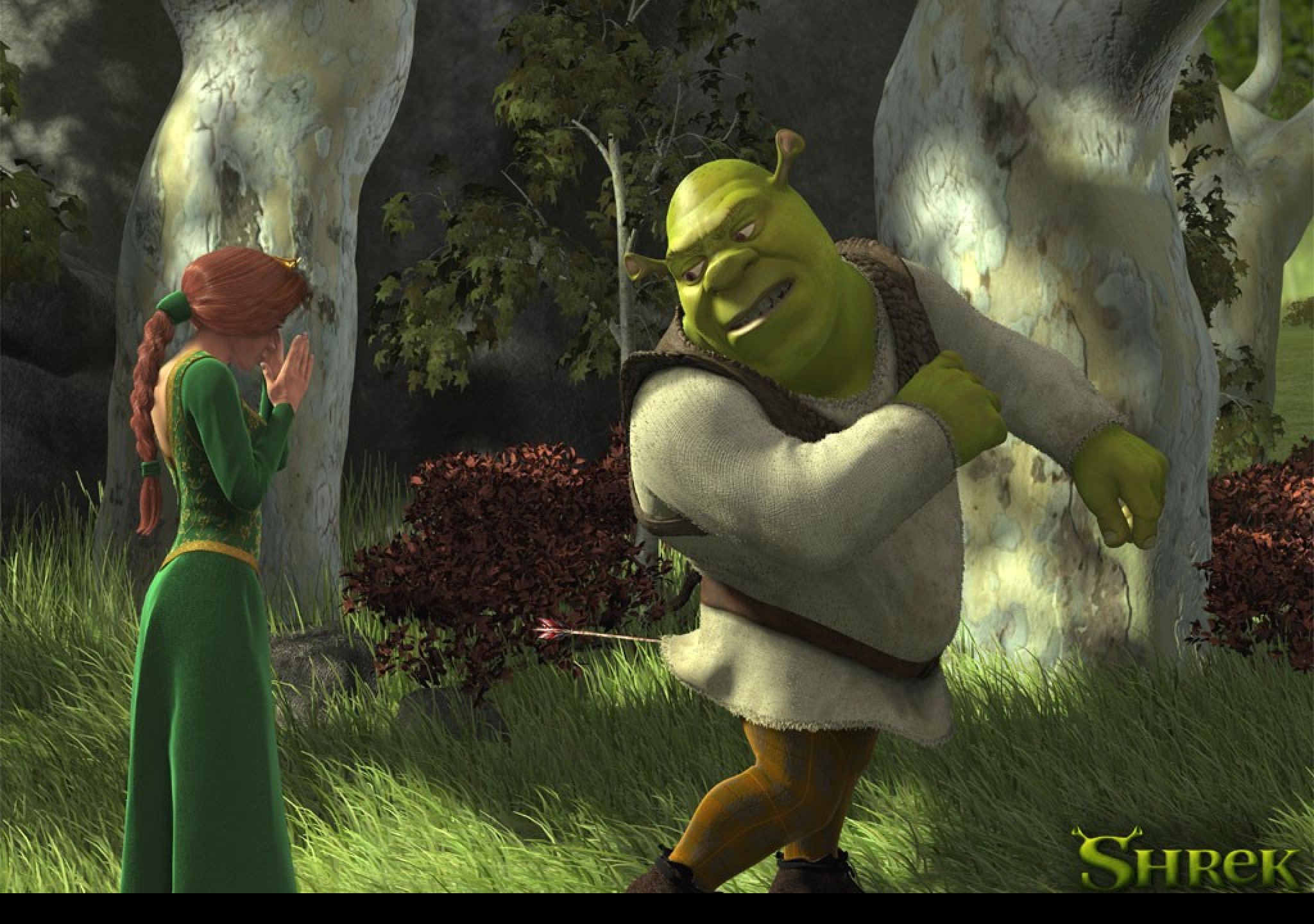 Tapeta shreksip